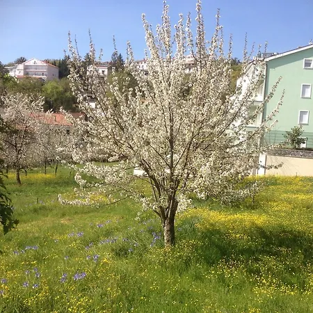 Bistrovic Apartament *